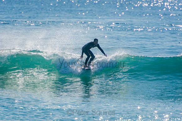 Palm_Beach_201011_08-30-47_0600