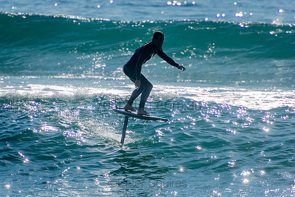 Palm_Beach_201011_08-30-53_0605