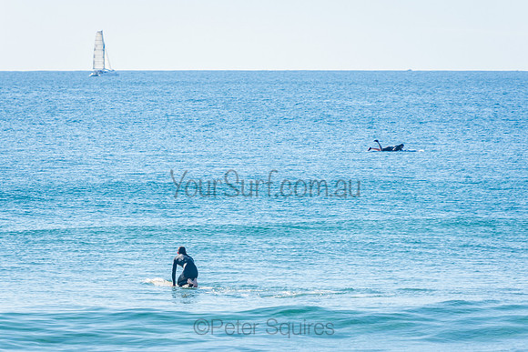 Palm_Beach_201011_08-35-45_0656
