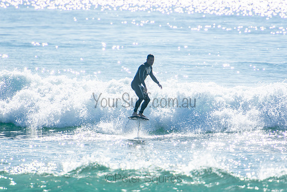 Palm_Beach_201011_08-49-07_0960