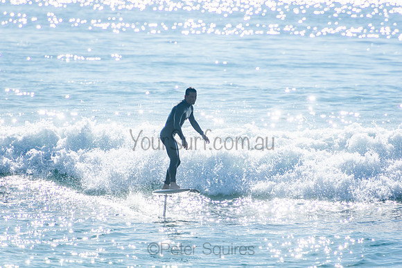 Palm_Beach_201011_08-49-09_0963