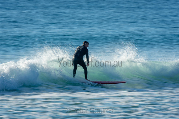 Palm_Beach_201011_07-48-16_0056
