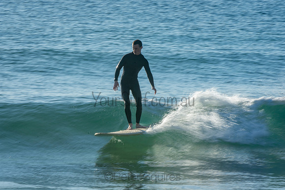Palm_Beach_201011_07-51-13_0117