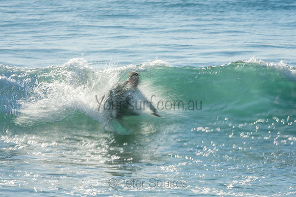 Palm_Beach_201011_07-51-20_0125