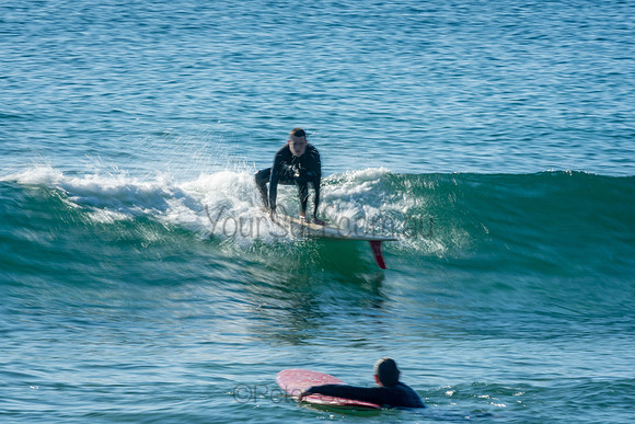Palm_Beach_201011_08-20-49_0321