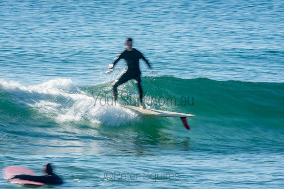 Palm_Beach_201011_08-20-50_0323