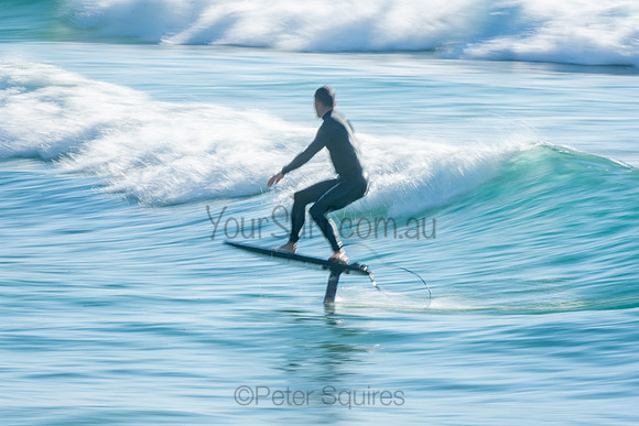 Palm_Beach_201011_08-21-09_0343