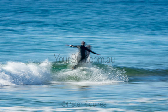 Palm_Beach_201011_08-21-24_0349