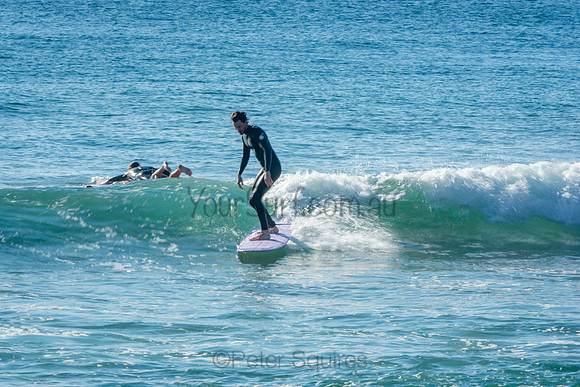 Palm_Beach_201011_08-23-06_0366