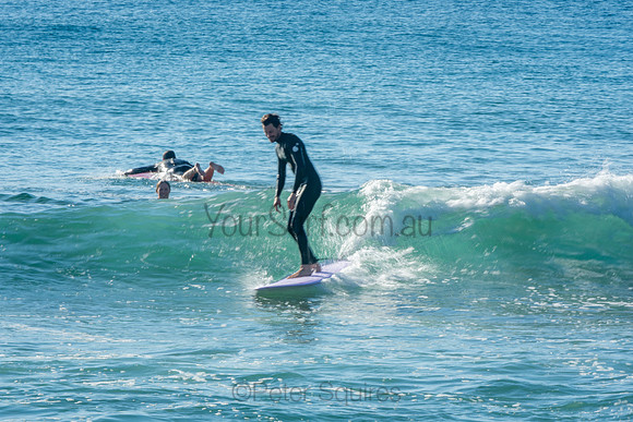Palm_Beach_201011_08-23-07_0369