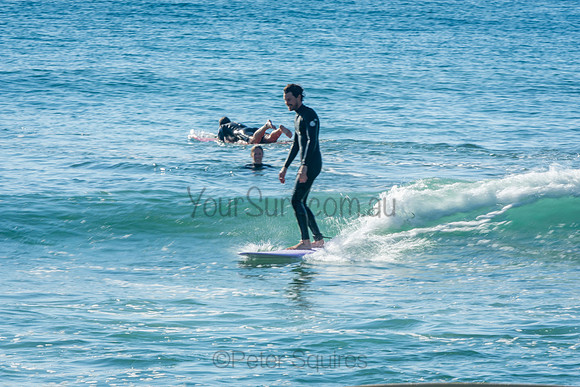 Palm_Beach_201011_08-23-08_0372