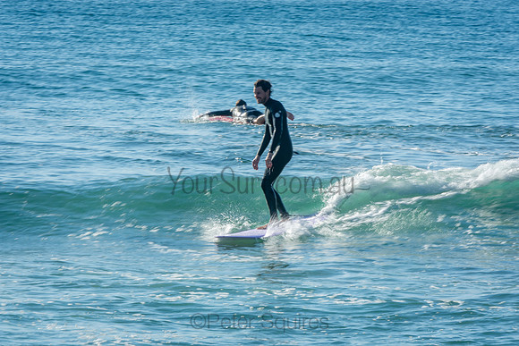 Palm_Beach_201011_08-23-08_0374