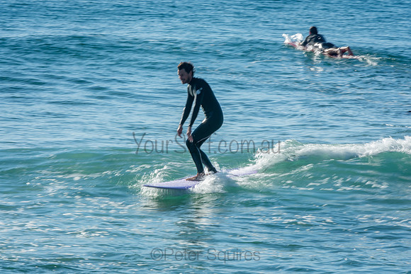 Palm_Beach_201011_08-23-10_0383