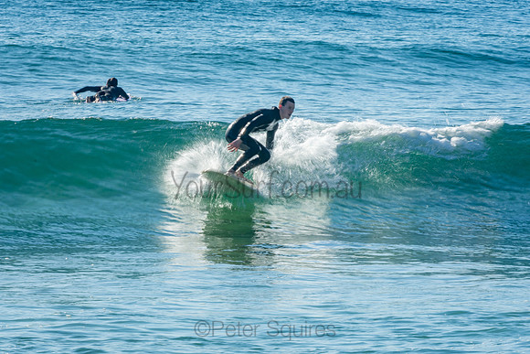Palm_Beach_201011_08-24-06_0402