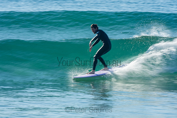 Palm_Beach_201011_08-25-39_0446