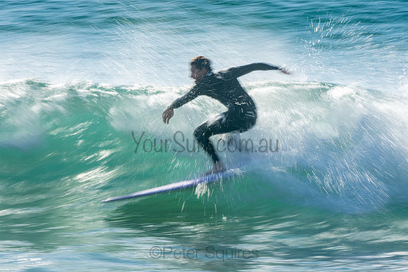 Palm_Beach_201011_08-25-44_0458
