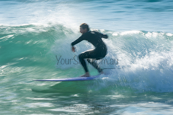 Palm_Beach_201011_08-25-45_0459