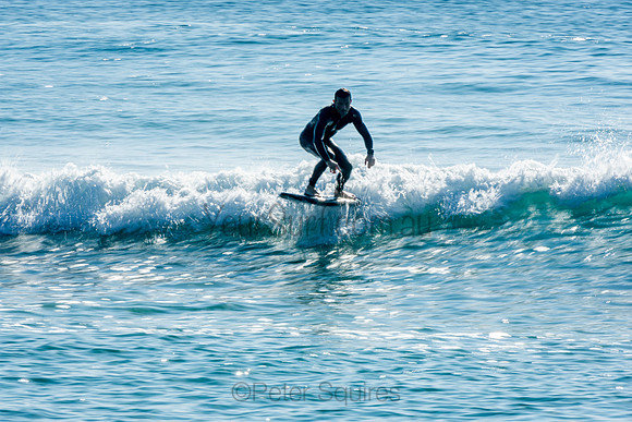 Palm_Beach_201011_08-29-11_0511