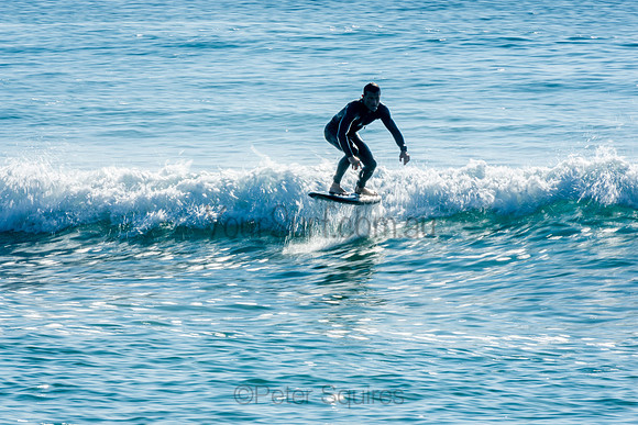 Palm_Beach_201011_08-29-11_0512