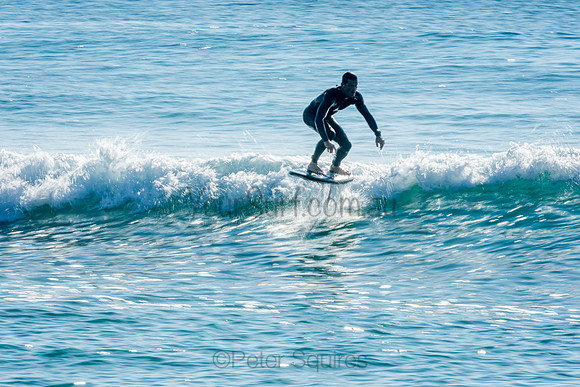 Palm_Beach_201011_08-29-12_0513