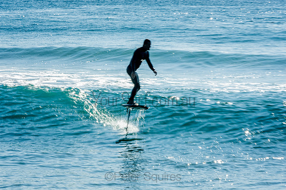 Palm_Beach_201011_08-29-16_0529