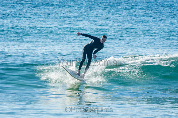 Palm_Beach_201011_08-36-00_0664