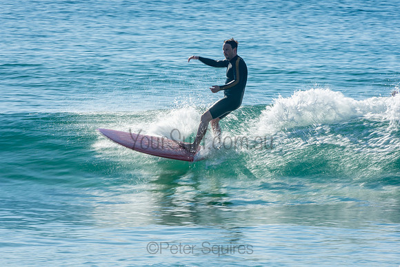 Palm_Beach_201011_08-37-06_0688