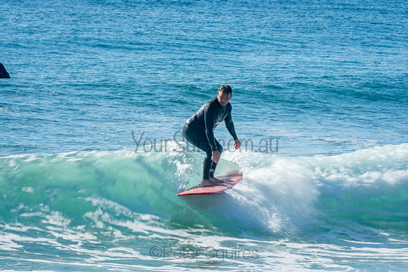 Palm_Beach_201011_08-41-43_0771