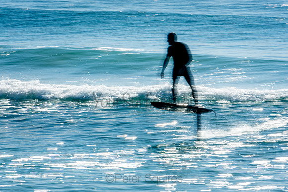 Palm_Beach_201011_08-42-17_0778