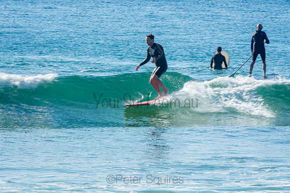 Palm_Beach_201011_08-44-29_0849