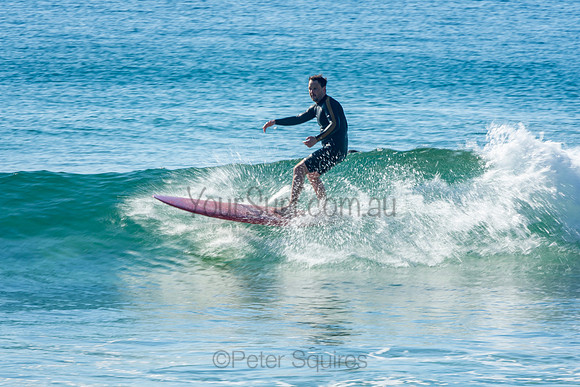Palm_Beach_201011_08-44-32_0858