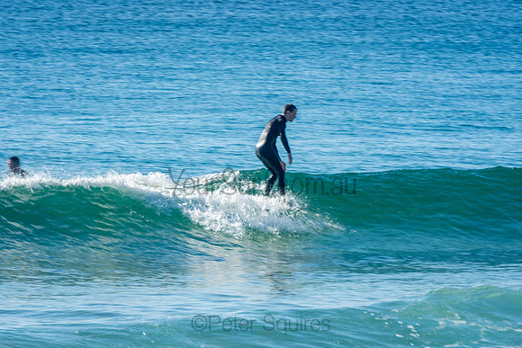 Palm_Beach_201011_08-45-05_0884
