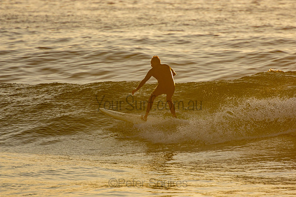 Whale_Beach_201015_06-41-46_0156