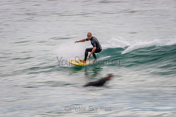 Whale_Beach_201018_08-43-06_0239