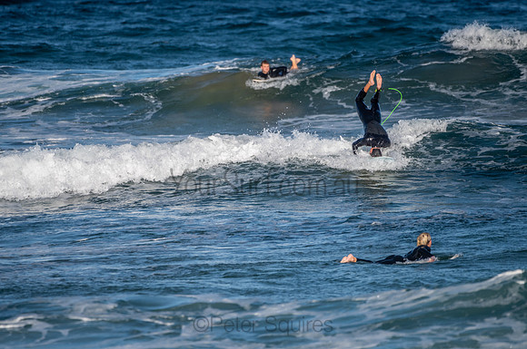 Newport