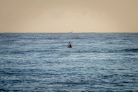 Palm_Beach_201021_06-55-07_0059