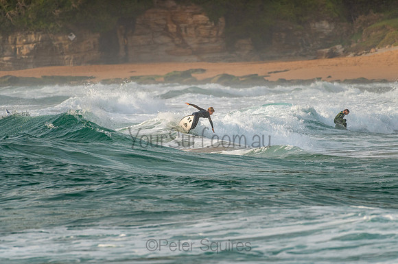 Whale_Beach_201022_07-17-35_0051