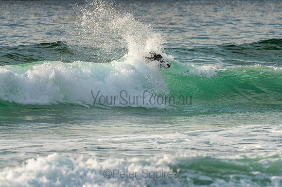 Whale_Beach_201022_07-42-10_0128