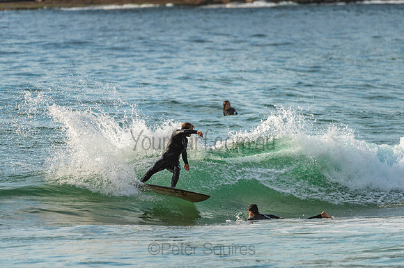 Whale_Beach_201022_07-59-05_0261