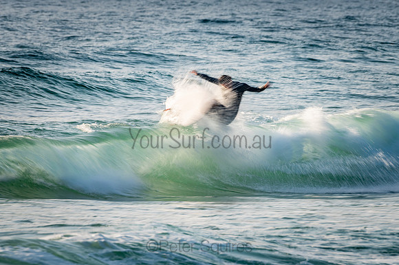 Whale_Beach_201023_07-26-56_0294