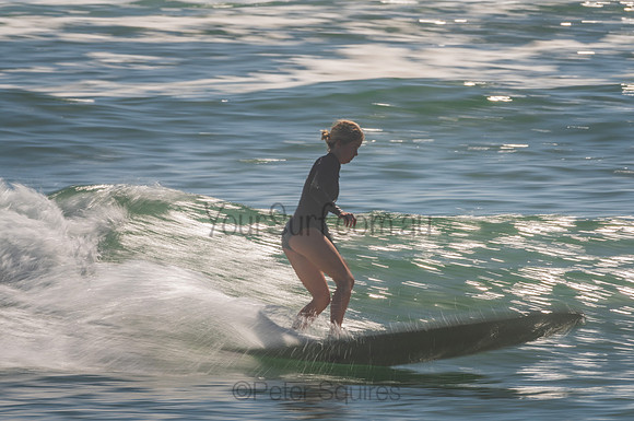 Palm_Beach_201102_09-32-14_0042