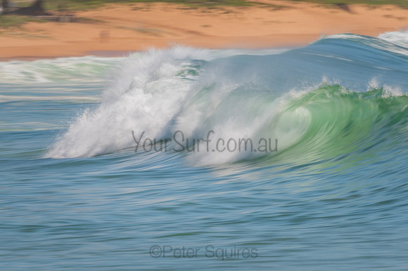 Palm_Beach_201102_10-25-11_0201