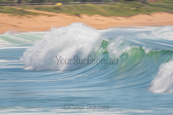 Palm_Beach_201102_10-25-20_0204