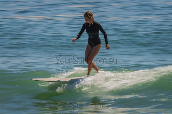Palm_Beach_201102_10-29-06_0212
