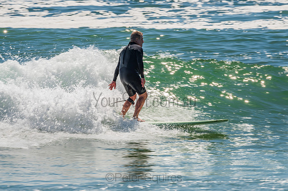 Palm_Beach_201102_10-30-24_0214