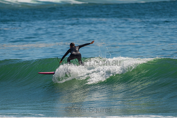 Palm_Beach_201102_10-31-25_0222