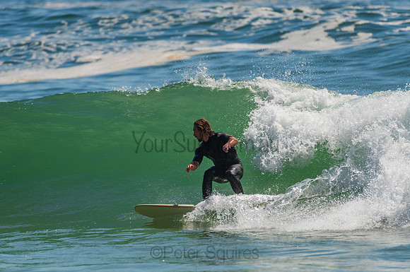 Palm_Beach_201102_10-33-51_0230