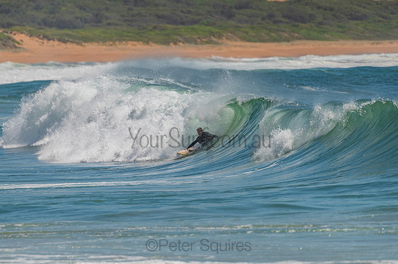 Palm_Beach_201102_10-43-15_0239