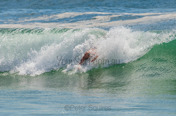 Palm_Beach_201102_10-53-56_0254