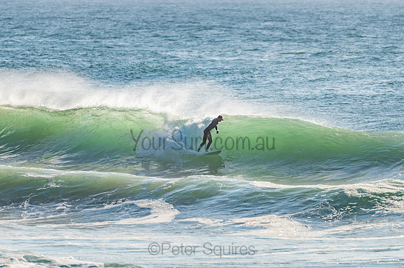Whale_Beach_201103_08-03-20_0008